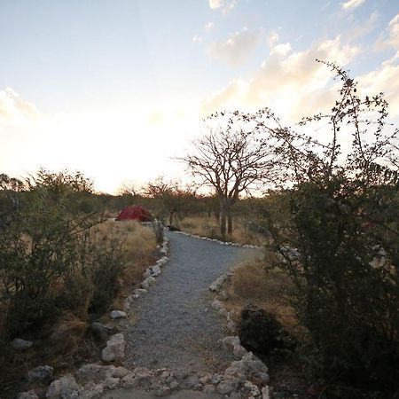 Etosha Village Campsite Okaukuejo Extérieur photo