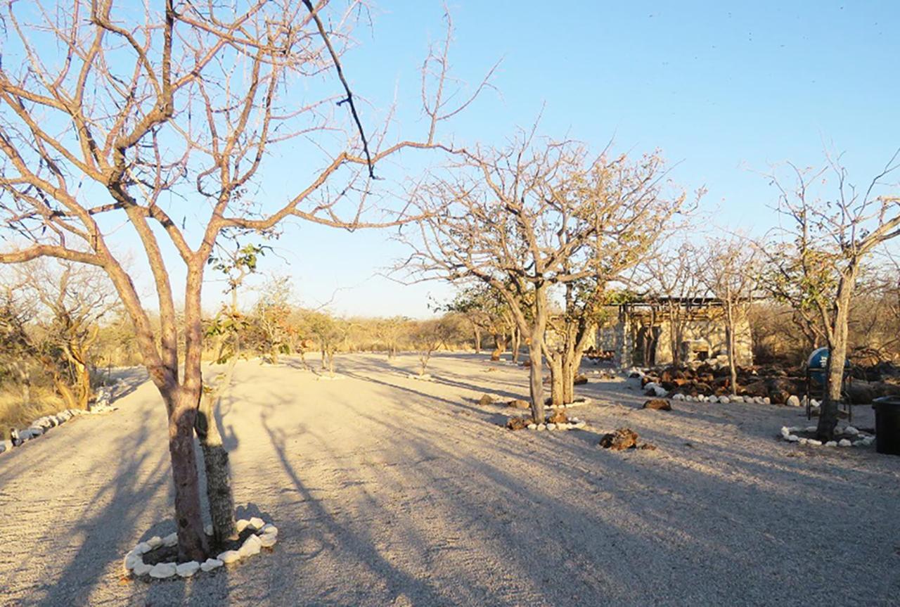 Etosha Village Campsite Okaukuejo Extérieur photo