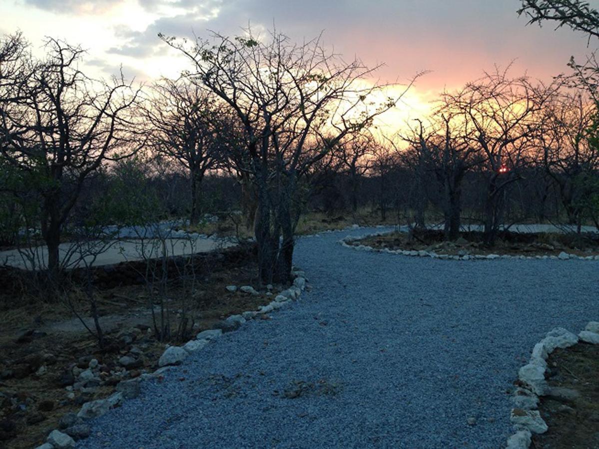 Etosha Village Campsite Okaukuejo Extérieur photo