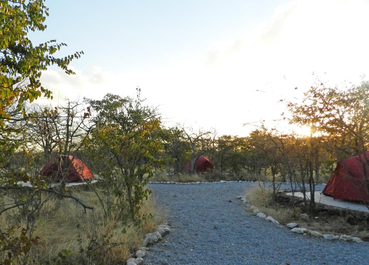 Etosha Village Campsite Okaukuejo Extérieur photo