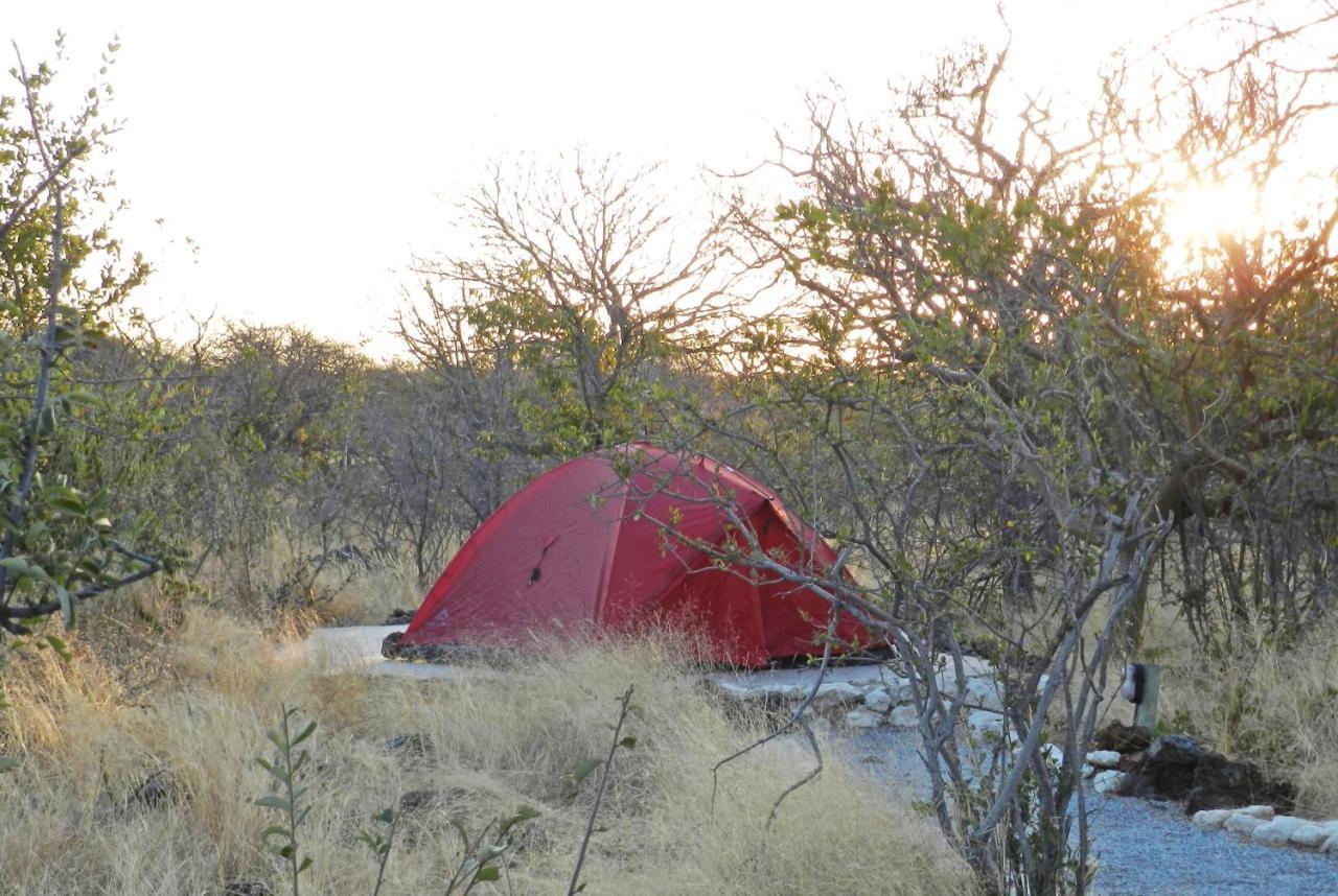 Etosha Village Campsite Okaukuejo Extérieur photo