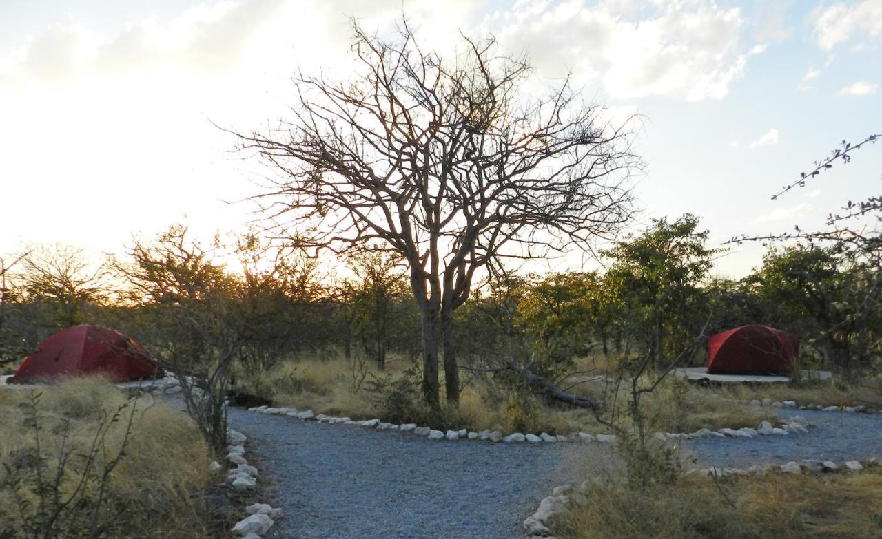 Etosha Village Campsite Okaukuejo Extérieur photo